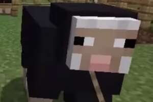 waterschaap